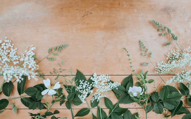 Uprednostňujme sezónne kvietky od lokálneho pestovateľa alebo z lúky<i>Foto: Annie Spratt, unsplash.com</i>