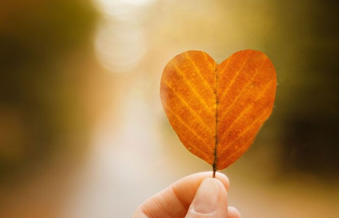Ručne vyrobená drobnosť poteší najviac<i>Foto: Dominika Roseclay, pexels.com. Upravené.</i>