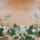 Uprednostňujme sezónne kvietky od lokálneho pestovateľa alebo z lúky<i>Foto: Annie Spratt, unsplash.com</i>