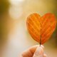 Ručne vyrobená drobnosť poteší najviac<i>Foto: Dominika Roseclay, pexels.com. Upravené.</i>